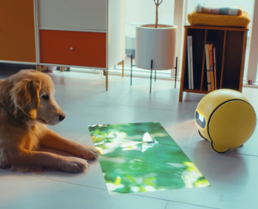 SAMSUNG BALLIE : EVİNİZİN KÜÇÜK DOSTU, BÜYÜK YARDIMCISI