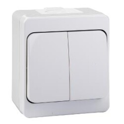 Schneider Elcetric NML0300133, Gri İkili Nemliyer Anahtar