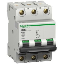 Schneider Electric 23813, C60A 2P C20A 3KA C SE 20A 2 Kut.Oto Sig.