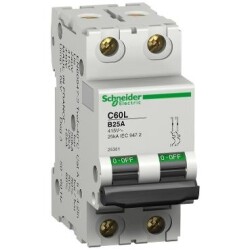 Schneider Electric 25235, C60A2PB16A 3 KA B SER 16A 2KUT OTO Sİ - Schneider