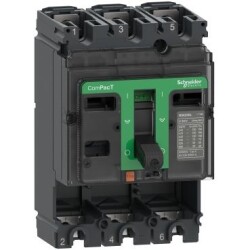 Schneider Electric C25F3, ComPacT Şalter Kasası NSX250F 36kA AC 3P 250A - Schneider