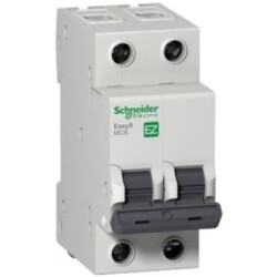 Schneider Electric EZ9F56210, 10 Amper, 2 Fazlı, C Tipi, Otomatik Sigorta, 6 kA, C10x2