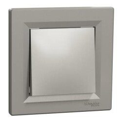 Schneider Electri EPH0100169, Asfora Bronz Çerçevesiz Anahtar 